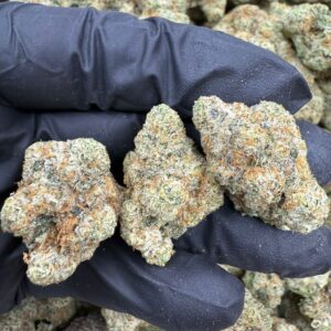 Apple Fritter