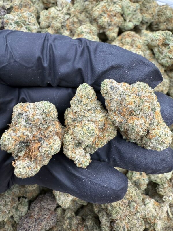 Apple Fritter